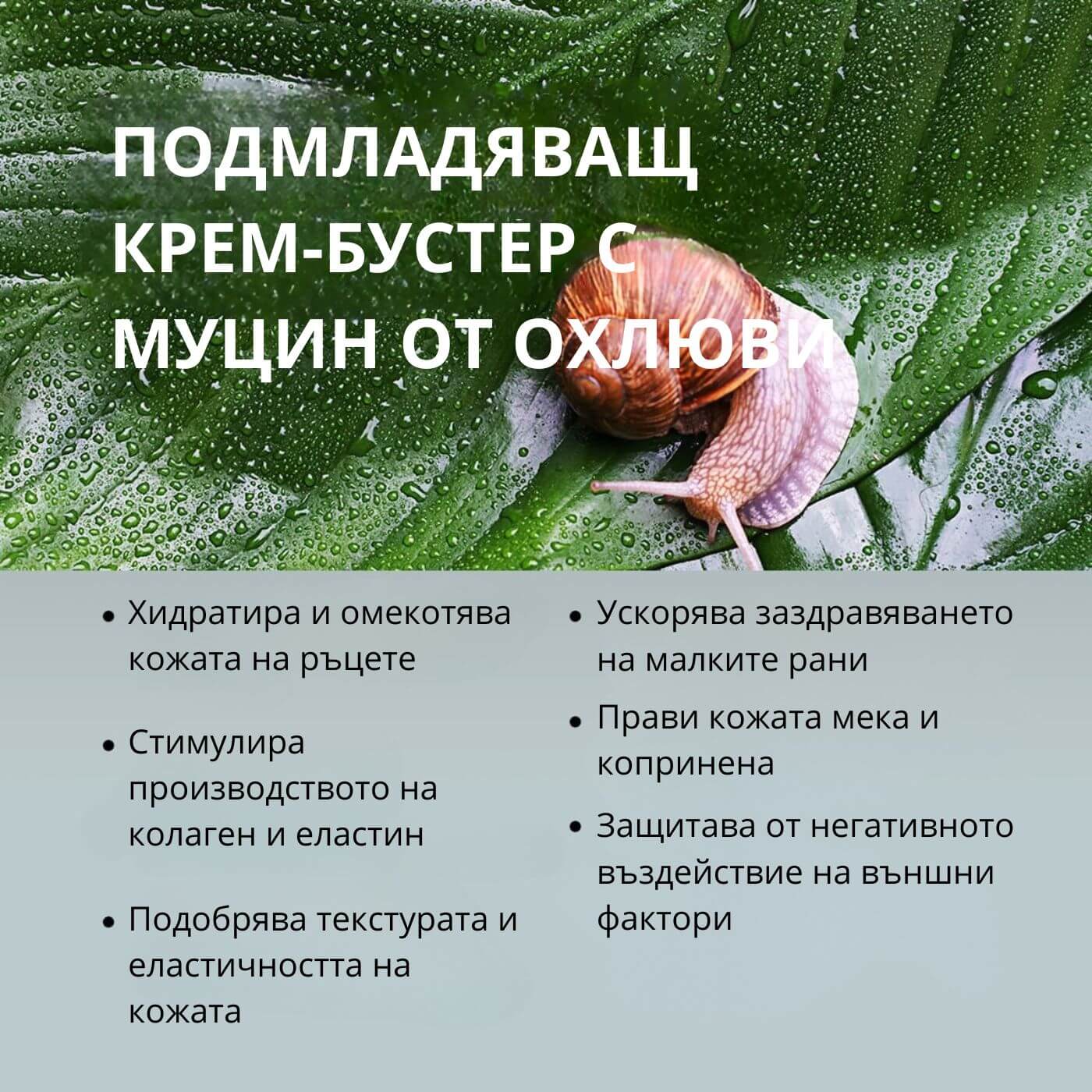 tiande (1081 x 1081 пиксела) (27)