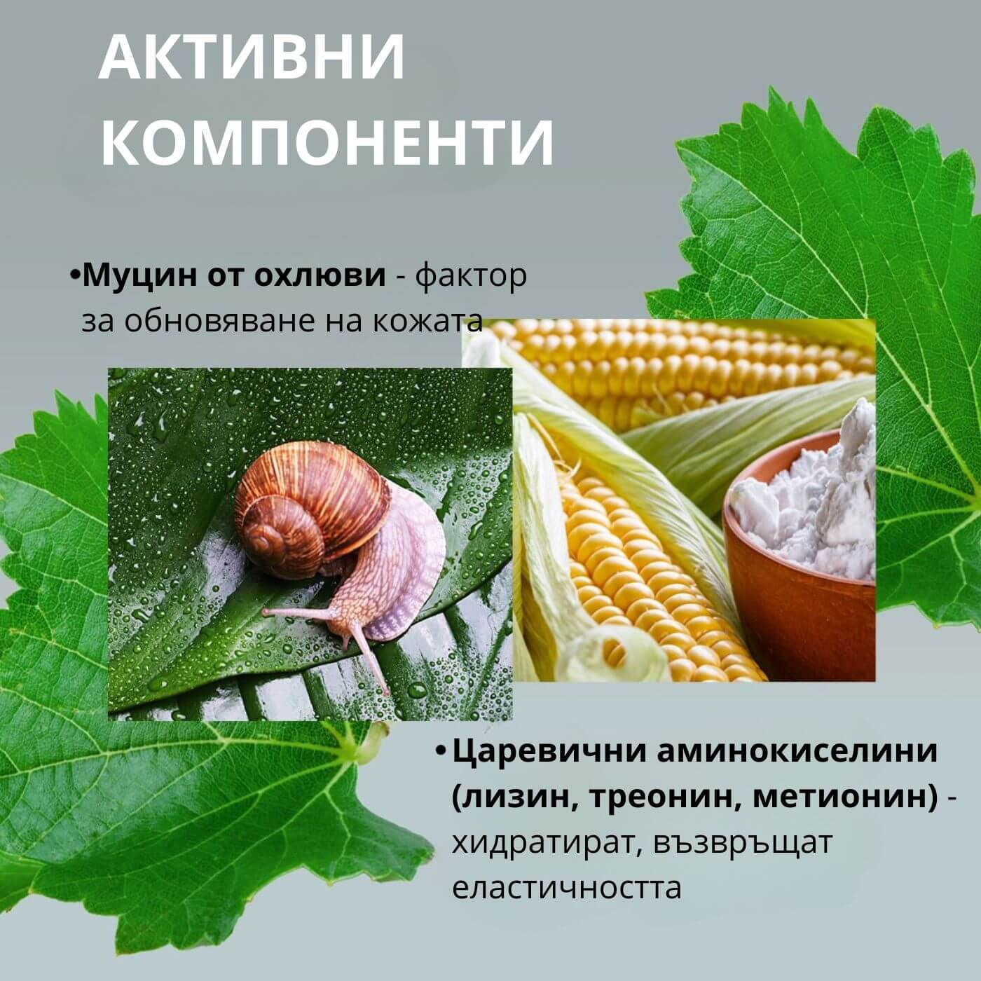 tiande (1081 x 1081 пиксела) (27)